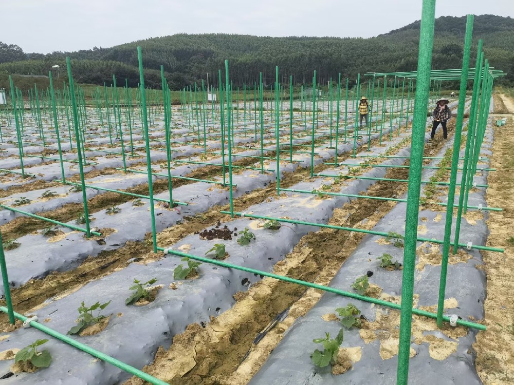 纤维管农场应用