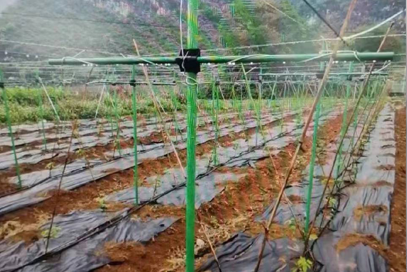 纤维管农场安装
